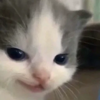 😏