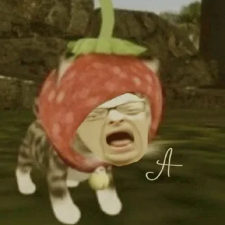 🍓