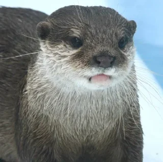😕