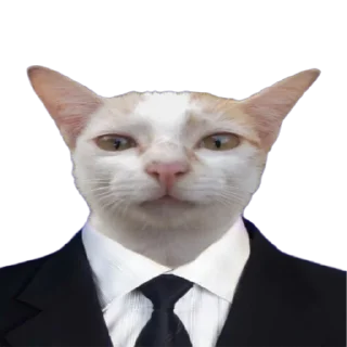 👨‍⚖️