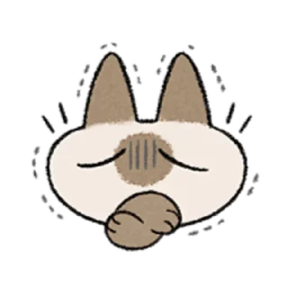 😺