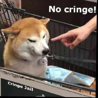 ⚡