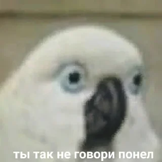 😮