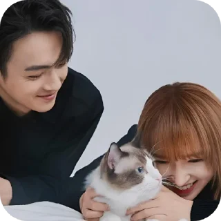 🥺