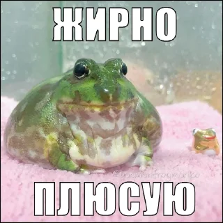 ✅