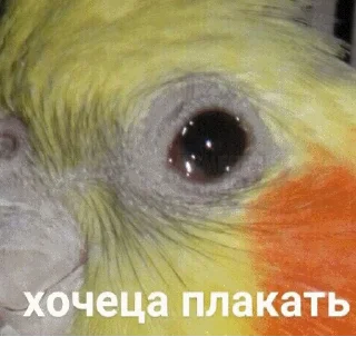 😢