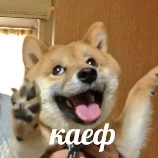 🤤