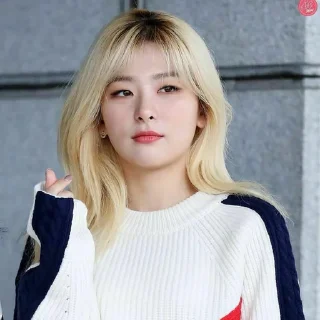 🖇