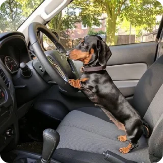 🚘
