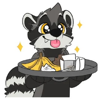 🦝