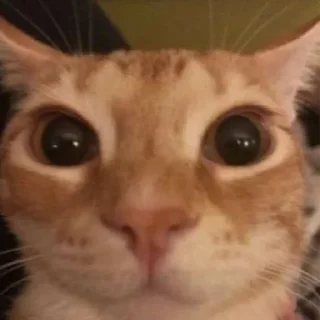 😐