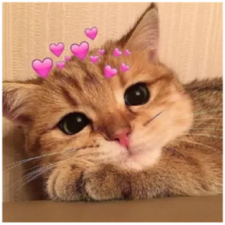 🥰