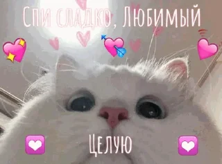 😘