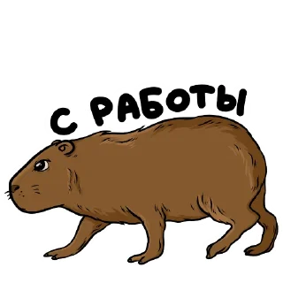👈