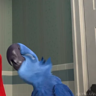 🦜