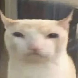 😅