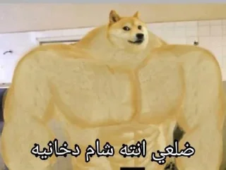 💪