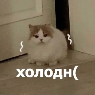 🥶
