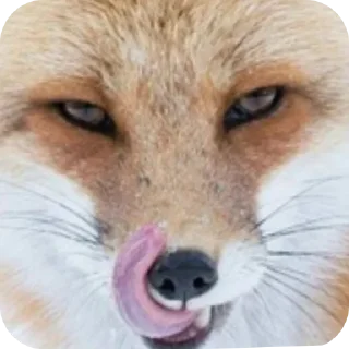 🤲