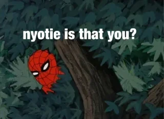 🕸