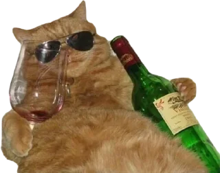 😎