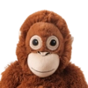 monkey by @normtips
