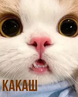 💩