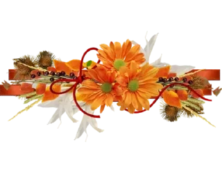 🌺
