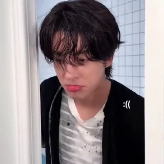 🦮