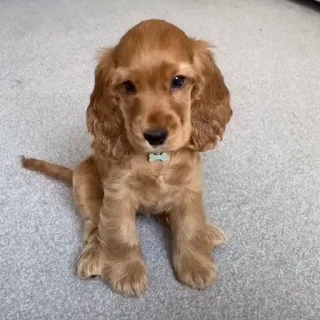 😑