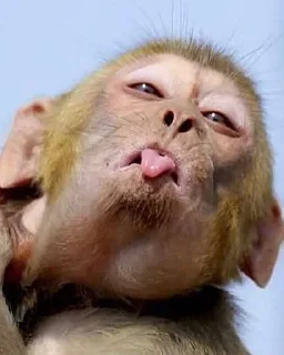 😛