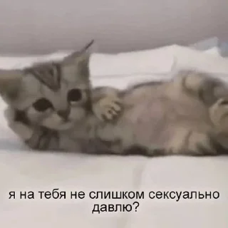 😭