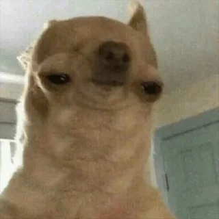 🙁