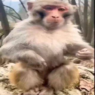 🤬
