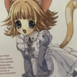 😸