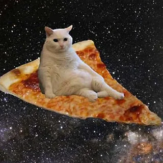 🍕