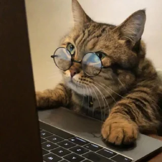 🧐