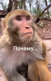 😔