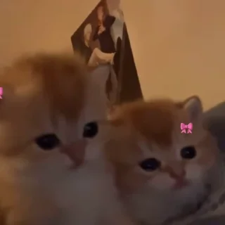 🎀