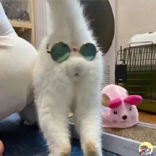 🤡