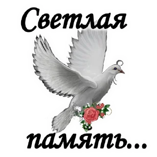 🕊