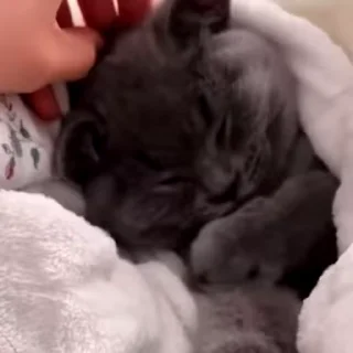 😴