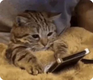 🥺