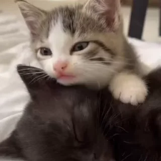 😘