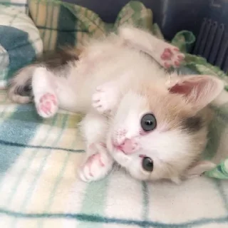 😁