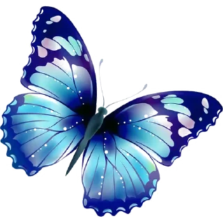 🦋