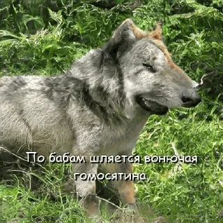 😡