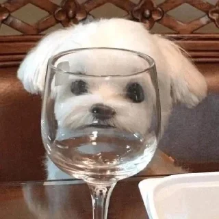 🫥