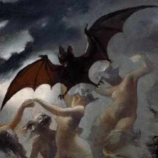 🦇