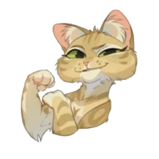 🐱